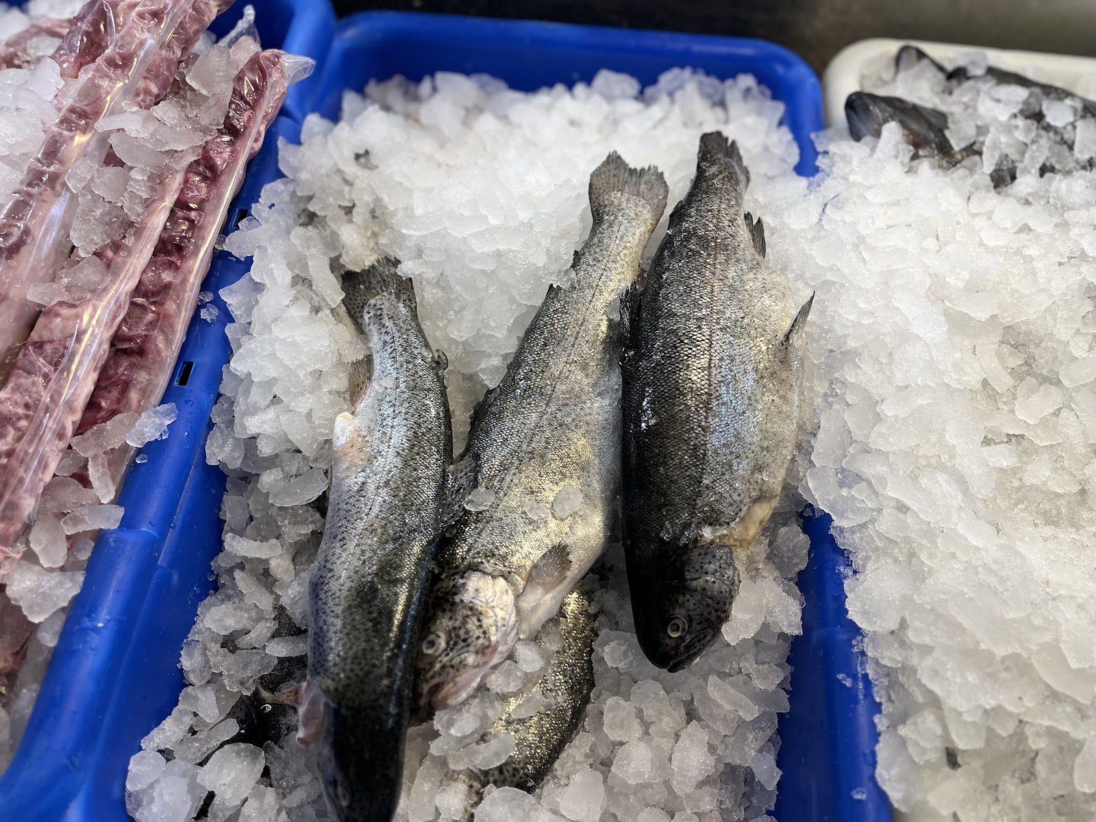 Whole fish on ice